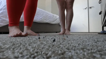 Under our Heels.webp