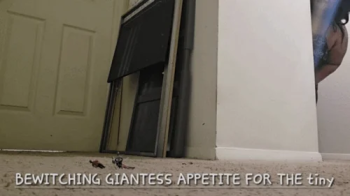 BEWITCHING GIANTESS APPETITE FOR THE tiny.webp