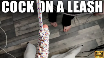 Cock On A Leash - 4k UHD 2160p - KingMarti.webp