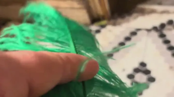Bondage Male Fetish Story MP4.webp