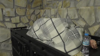 Zoey Ziptie 72h Extreme Session - Charter 21 - Zoey resting - (Bonus Content) - FULL CLIP (mp4) HD.webp