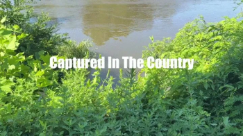Alba Zevon In- Captured in the Country Bondage Hand Over Mouth Lift Carry Groping.webp