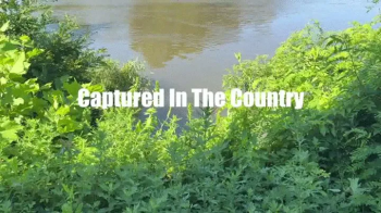Alba Zevon In- Captured in the Country Bondage Hand Over Mouth Lift Carry Groping WMV.webp